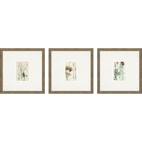 Florals Collection Green Framed Art