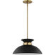 Perkins 1 Light 15 inch Matte Black/Burnished Brass Pendant Ceiling Light