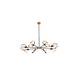 Canada 8 Light 43 inch Black/Brushed Brass Chandelier Ceiling Light