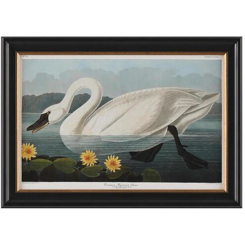Audubon Collection Group 20.75 X 14.75 inch Giclee, I-C
