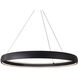 Halo Pendant Ceiling Light in Black