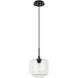 Irresistible Organic Charm 1 Light 9.88 inch Clear Pendant Ceiling Light
