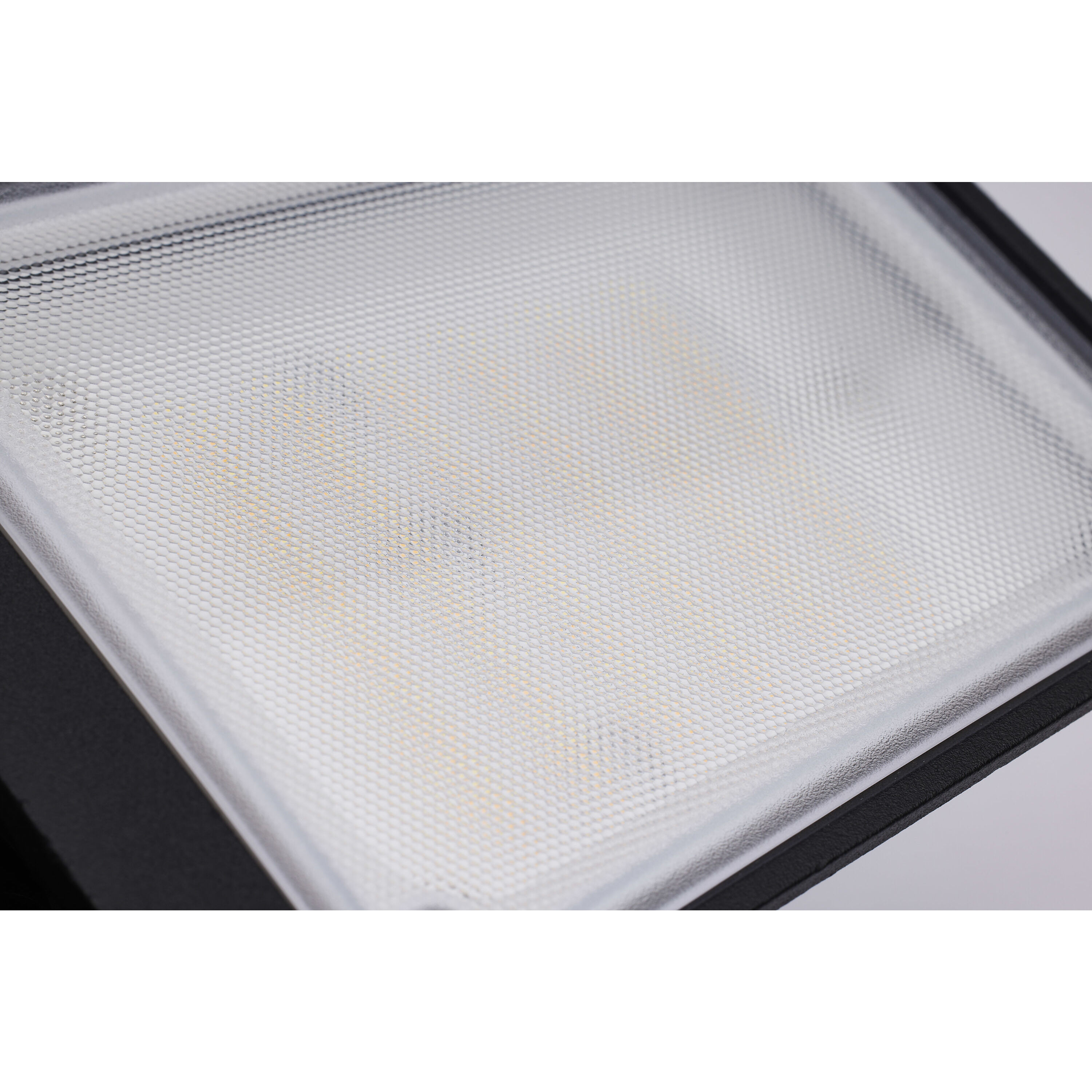 Starfish Outdoor Security Light