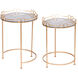 Anita 18 inch Gold Side Table, Set of 2