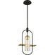 Smyth 1 Light 12.5 inch Dark Bronze And Brushed Brass Outdoor Pendant