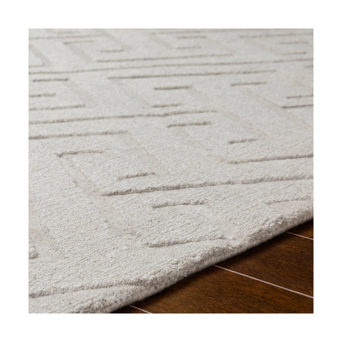 Mystique 63 X 39 inch Light Gray Rugs, Rectangle