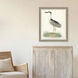 Black Crowned Heron Blue and Green and Multi Framed Art, Propac