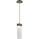 Parallel LED 2.3 inch Flat Bronze Pendant Ceiling Light in Clear Rimelight, 2700K LED