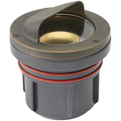 Hardy Island Shielded 12v 12.00 watt Matte Bronze Landscape Well Light, Variable Output