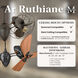 Matthews-Gerbar Ar Ruthiane 16 inch Gloss White with Solid Mahogany Wood Blades Rotational Ceiling Fan, Matthews-Gerbar