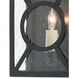 Ripley 1 Light 12.25 inch Midnight Outdoor Wall Sconce, Small