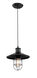 DU Series 11 inch Pendant Ceiling Light, Black Frame