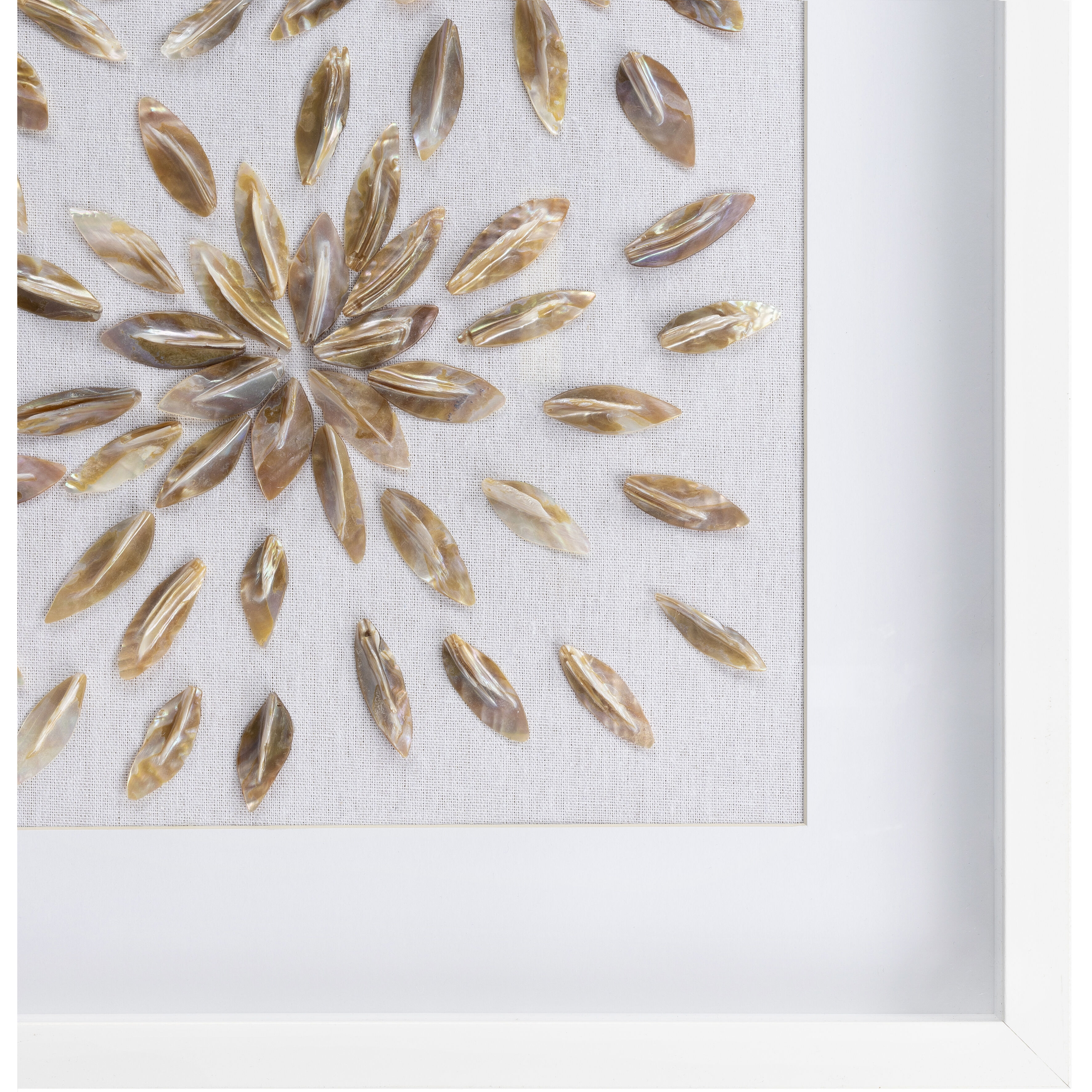 Seashells Light Grey Wall Art, Rectangle