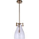 Chardonnay 1 Light 9 inch Satin Brass Pendant Ceiling Light