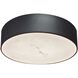 Walsh LED 12 inch Matte Black Flush Mount Ceiling Light