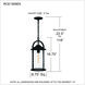 Reece 1 Light 8.75 inch Earth Black Outdoor Hanging Lantern