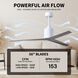 Atlas Eliza 56 inch Gloss White with Old Oak Tone Blades Ceiling Fan, Paddle Fan
