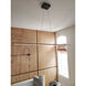 Array LED 48 inch Matte Black Horizontal Pendant Ceiling Light