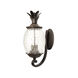 Lanai 2 Light 18 inch Black Coral Exterior Wall Mount