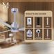 Atlas Alessandra 42 inch Brushed Nickel with Barn Wood Blades Indoor/Outdoor Ceiling Fan
