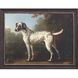 Animals Collection Brown Framed Art