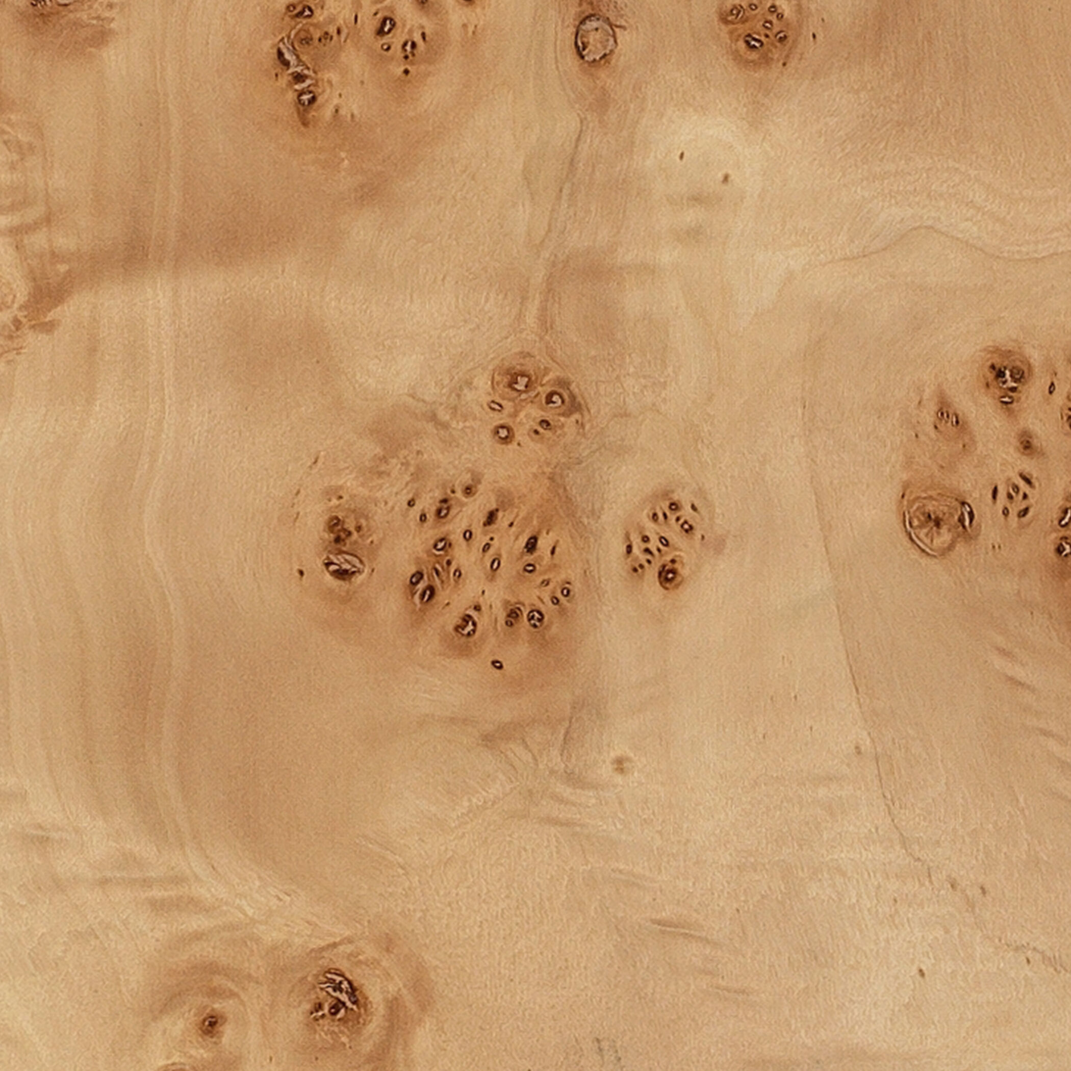 Parallel 63.25 inch 150 watt Natural Burl Wood Floor Lamp Portable Light