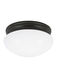 Webster 2 Light 9.5 inch Heirloom Bronze Flush Mount Ceiling Light