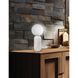 Tierra 18 inch 40.00 watt Alabaster Table Lamp Portable Light