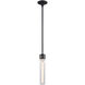Zigrina 1 Light 5.13 inch Satin Brushed Black with Polished Nickel Pendant Ceiling Light