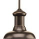 Brookside LED 8 inch Antique Bronze Mini-Pendant Ceiling Light