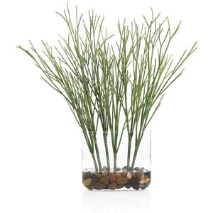 Cactus Succulent Botanical/Floral