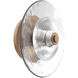 Atmosphere Cirrus LED Novel Brass Sconce/Flush Mount Ceiling Light in 3000K LED, Clear Granite, Large