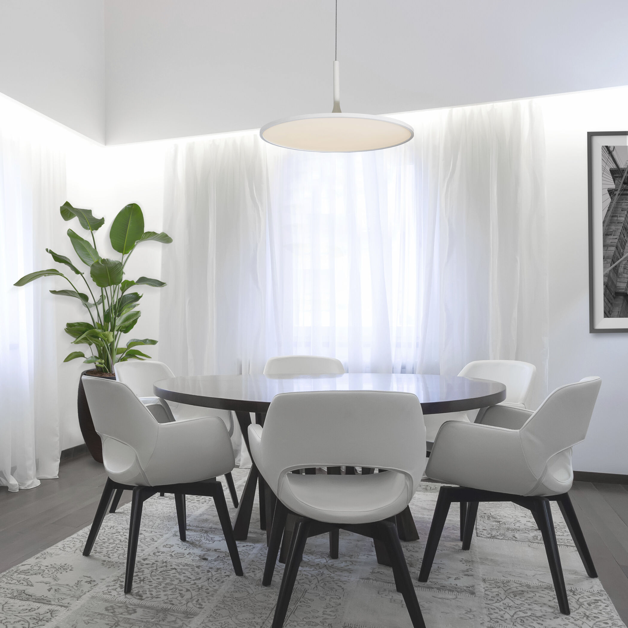 Salm 24 inch White Pendant/Chandelier Ceiling Light