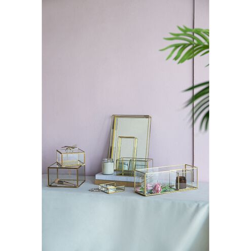 Anita Clear/Gold Tray