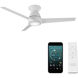 Tip Top 44 inch Matte White Flush Mount Ceiling Fan in 2700K