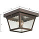Springfield 1 Light 8 inch Hazelnut Bronze Outdoor Flush Mount