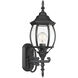 Transitional Outdoor Wall Lantern
