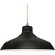 Radiance LED 15.5 inch Carbon Matte Black and Brushed Nickel Pendant Ceiling Light