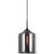 Irresistible Organic Charm 1 Light 9.88 inch Smoke Pendant Ceiling Light