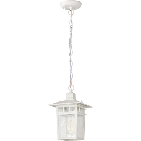 Cove Neck 1 Light 7 inch White Outdoor Hanging Lantern