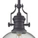 Chadwick 1 Light 13 inch Oil Rubbed Bronze with Clear Pendant Ceiling Light