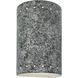 Ambiance Collection LED 10 inch Granite Outdoor Wall Sconce