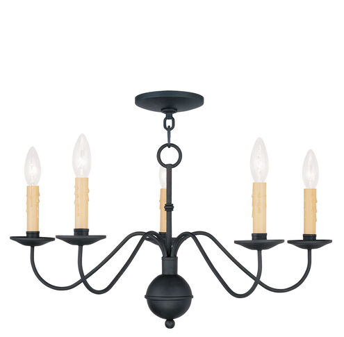 Heritage 5 Light 24 inch Black Chandelier Ceiling Light