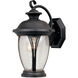 Westchester 1 Light 13 inch Bronze Outdoor Wall Lantern in Seedy