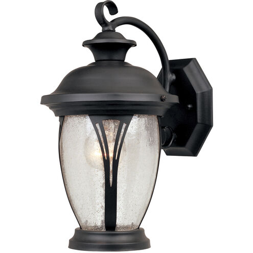 Westchester 1 Light 13 inch Bronze Outdoor Wall Lantern in Seedy