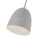 Arlington 1 Light 10 inch Nordic Gray with Brushed Nickel Accents Pendant Ceiling Light