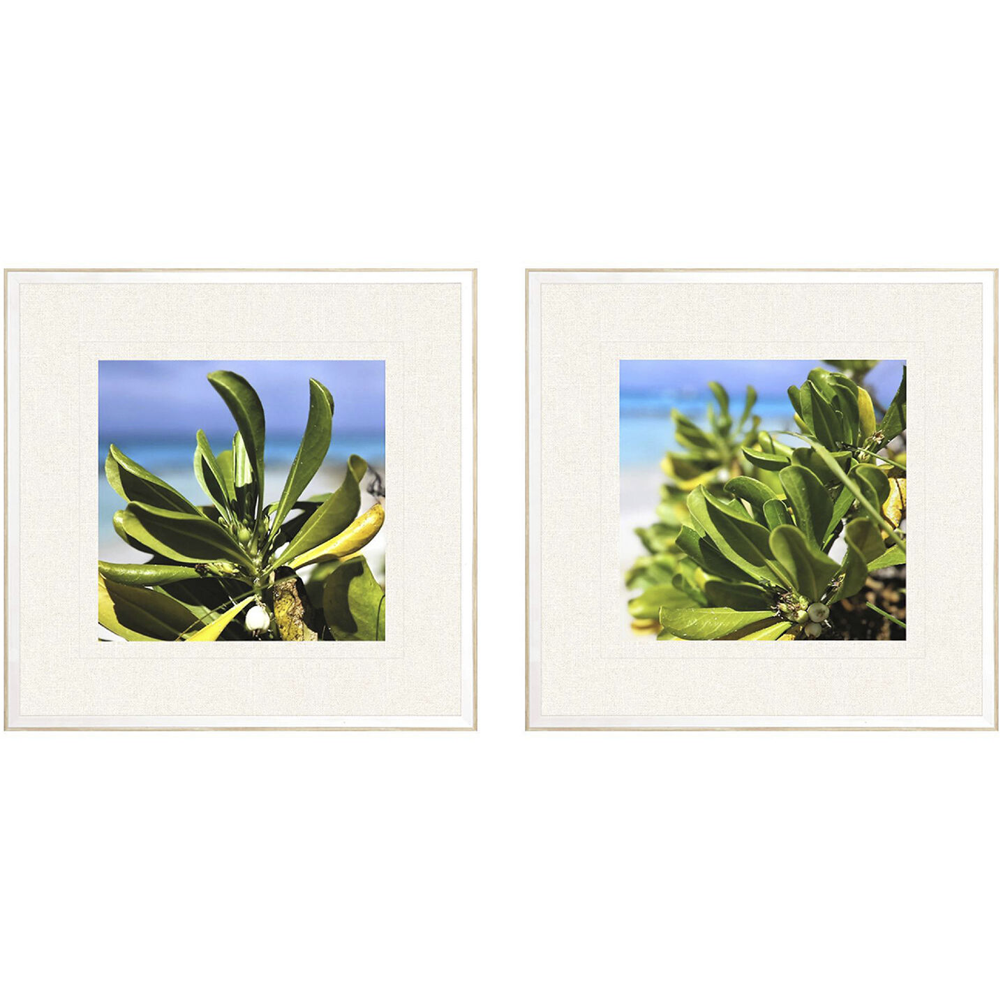 Florals Green and Beige and Multi and White Framed Art