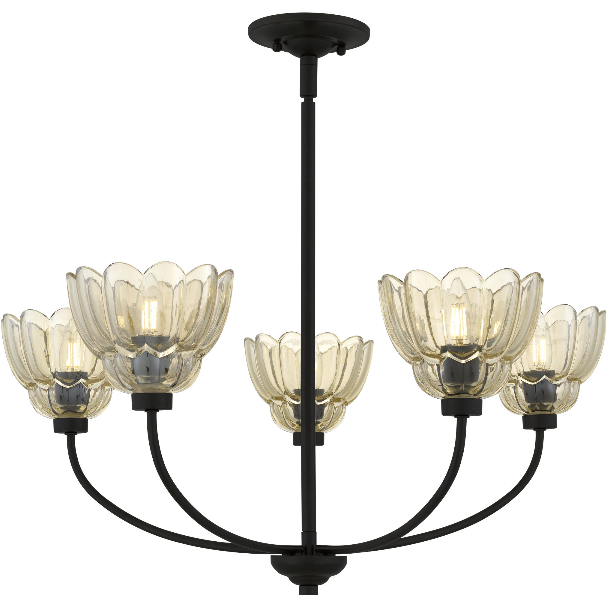 Whitecap 5 Light 28 inch Mottled Cocoa Chandelier Ceiling Light