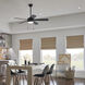 Starkk 52 inch Satin Black with Silver Blades Ceiling Fan