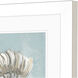 Seashell Green and Blue and Turquoise Framed Art, Propac